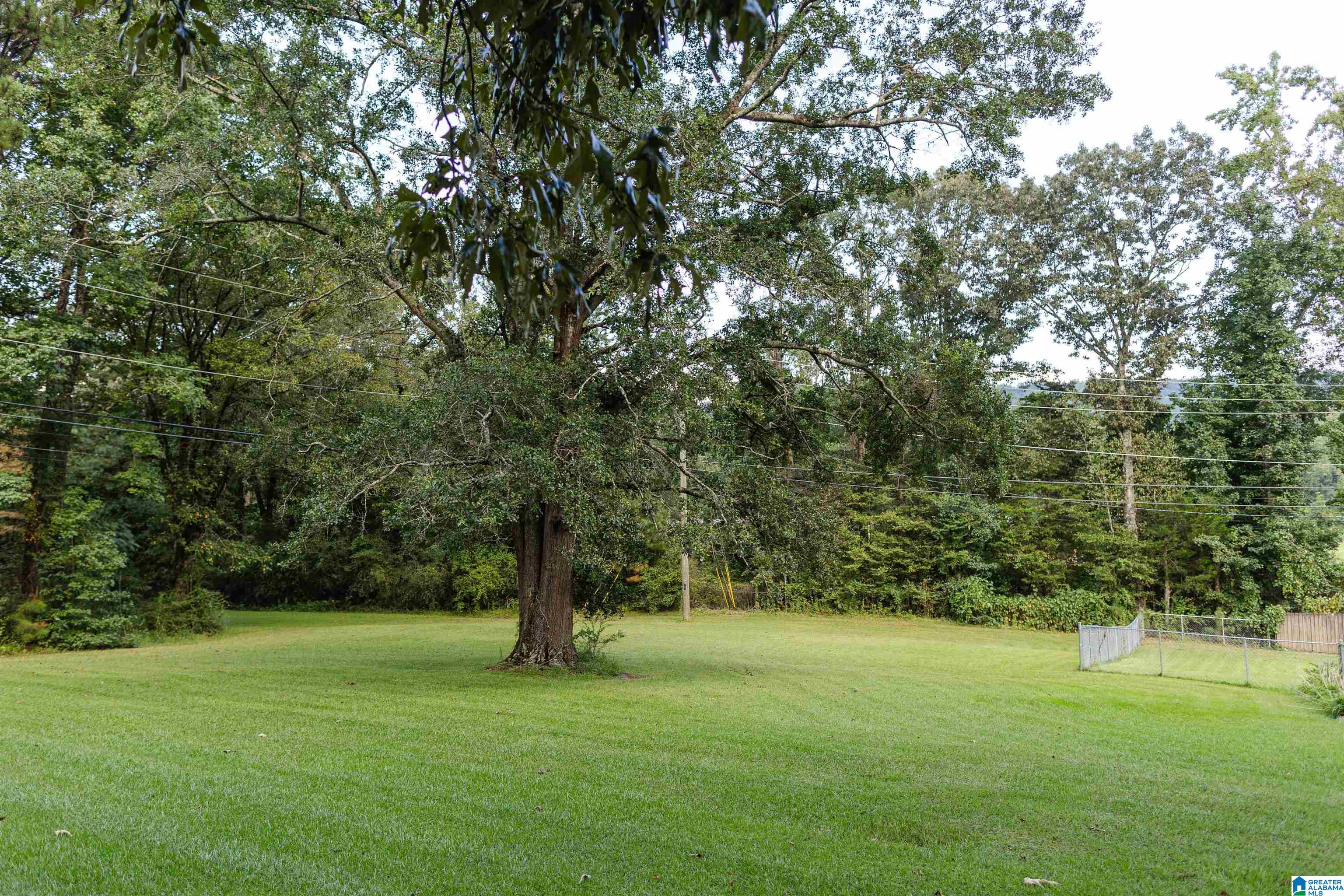135 Nichols Road Leeds, AL 35094 - Photo 4 of 35