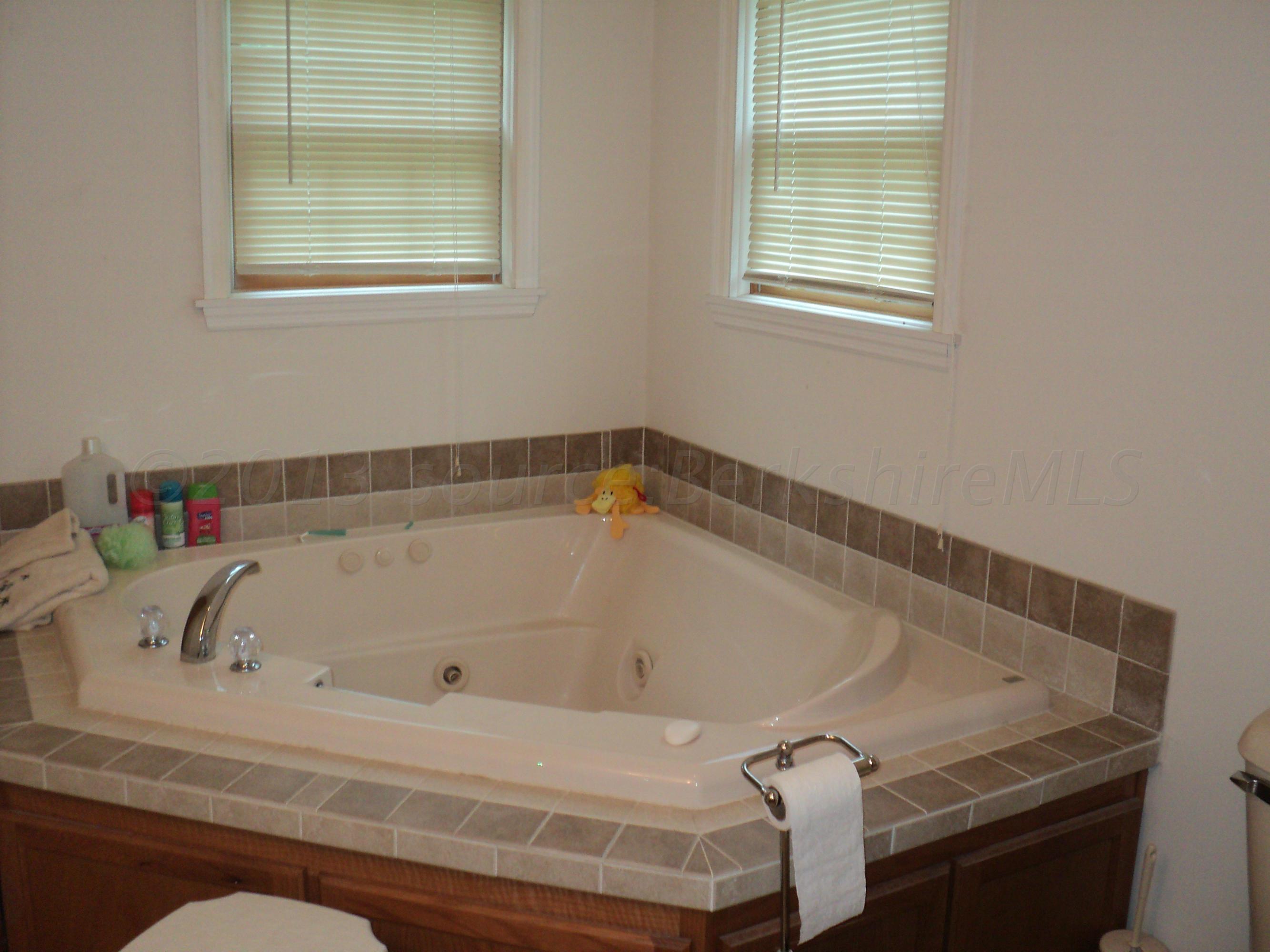 767 Kirchner Road Dalton, MA 01226 - Photo 14 of 26 master bath jet tub and showwer