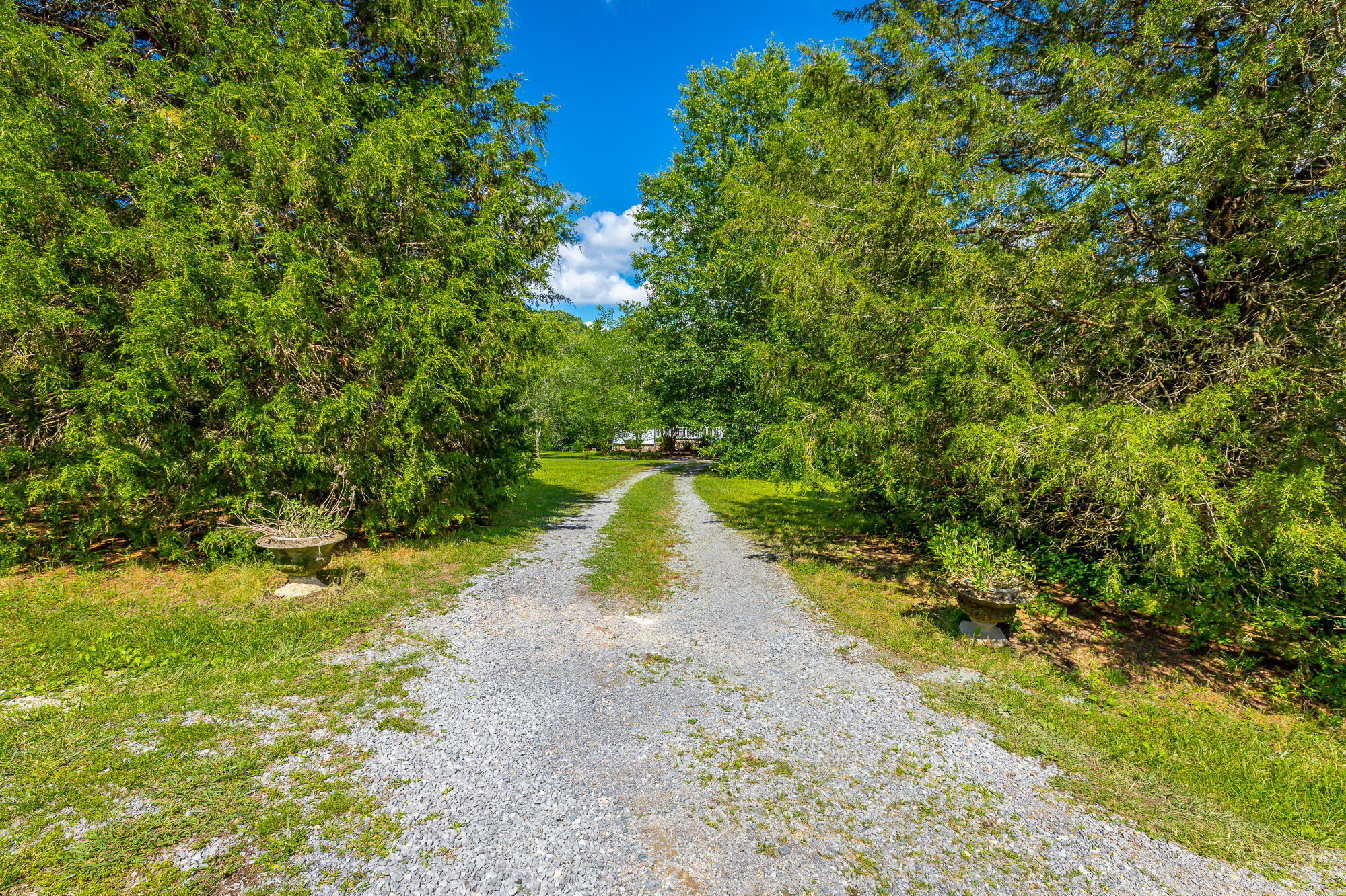 206 Wood Terrace Road Ringgold, GA 30736 - Photo 54 of 54 206 Wood Terrace Road HD-74