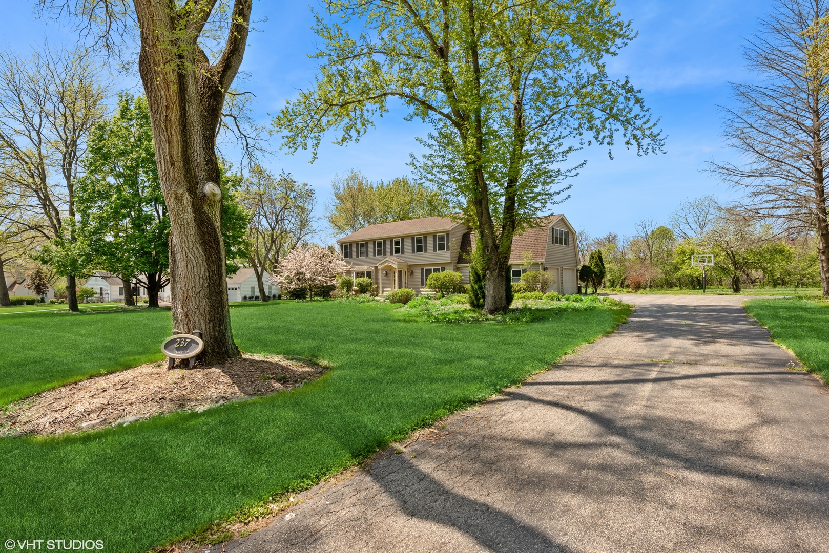 a view of a park with trees and a pathway
