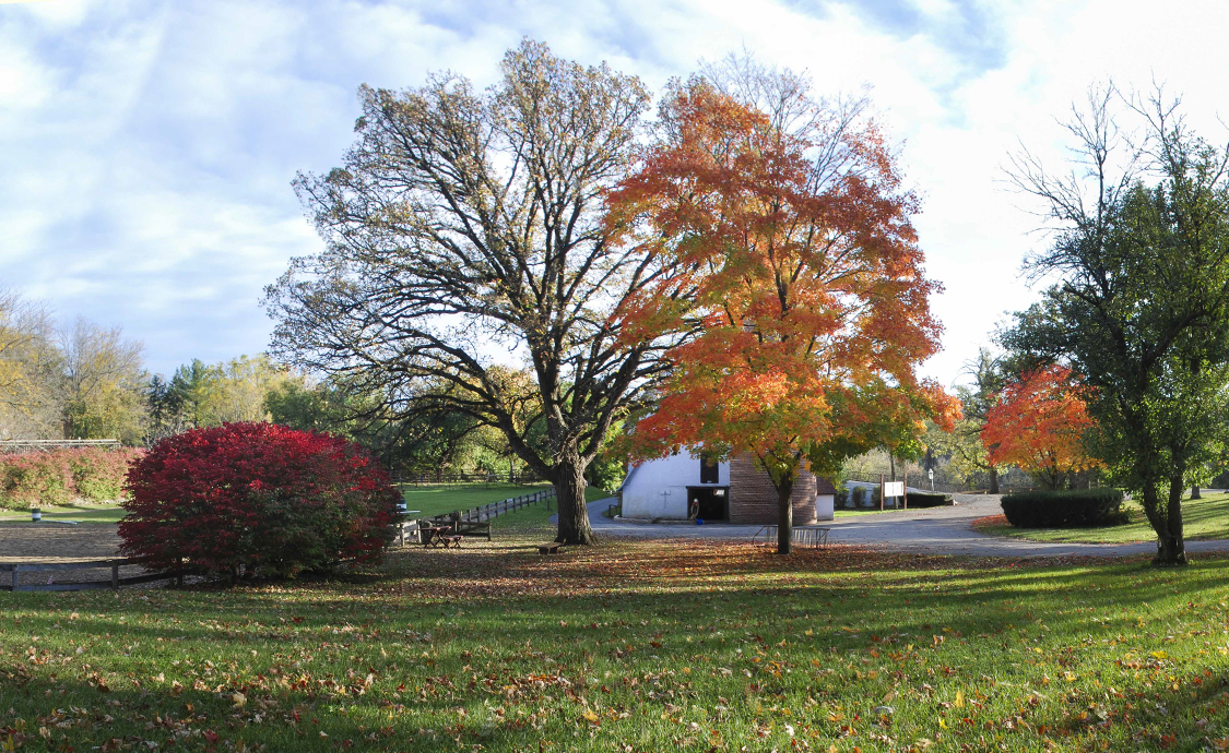 237 Valley Road Trout Valley, IL 60013 - Photo 35 of 48 a view of a playground with tree s