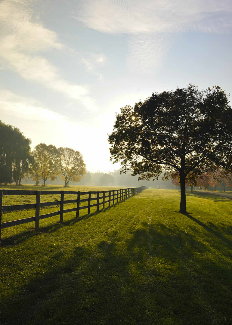 237 Valley Road Trout Valley, IL 60013 - Photo 36 of 48 a view of an ocean from a yard