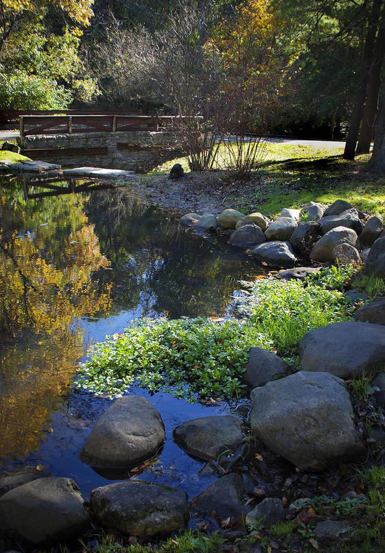 237 Valley Road Trout Valley, IL 60013 - Photo 37 of 48 a view of a street with a bench