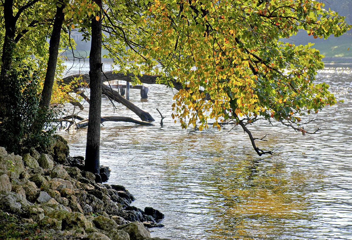237 Valley Road Trout Valley, IL 60013 - Photo 38 of 48 a picture of street view
