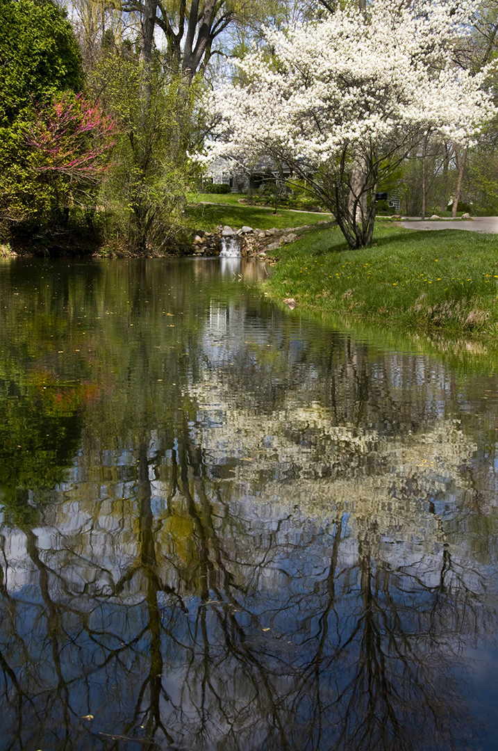 237 Valley Road Trout Valley, IL 60013 - Photo 42 of 48 a view of lake from next to house with outdoor seating