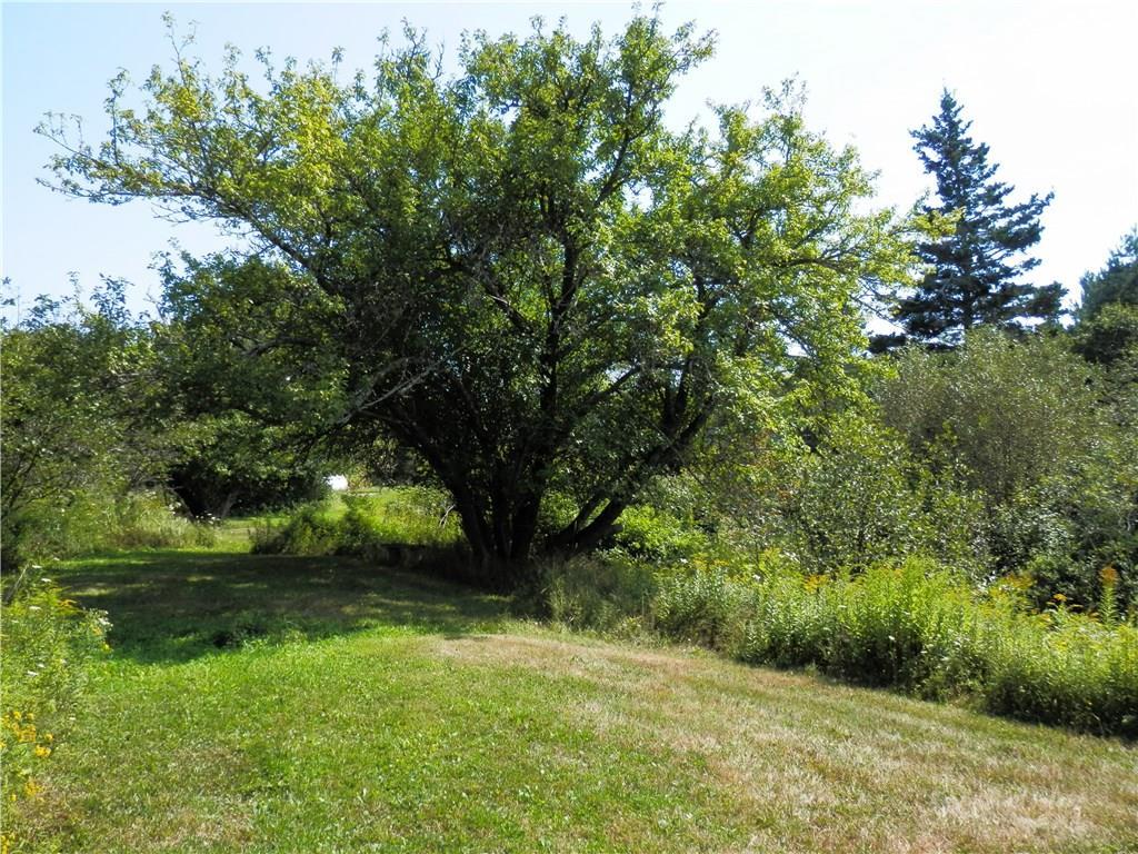 62 Hartsneck Road Tenants Harbor, ME 04860 - Photo 21 of 25 Photo