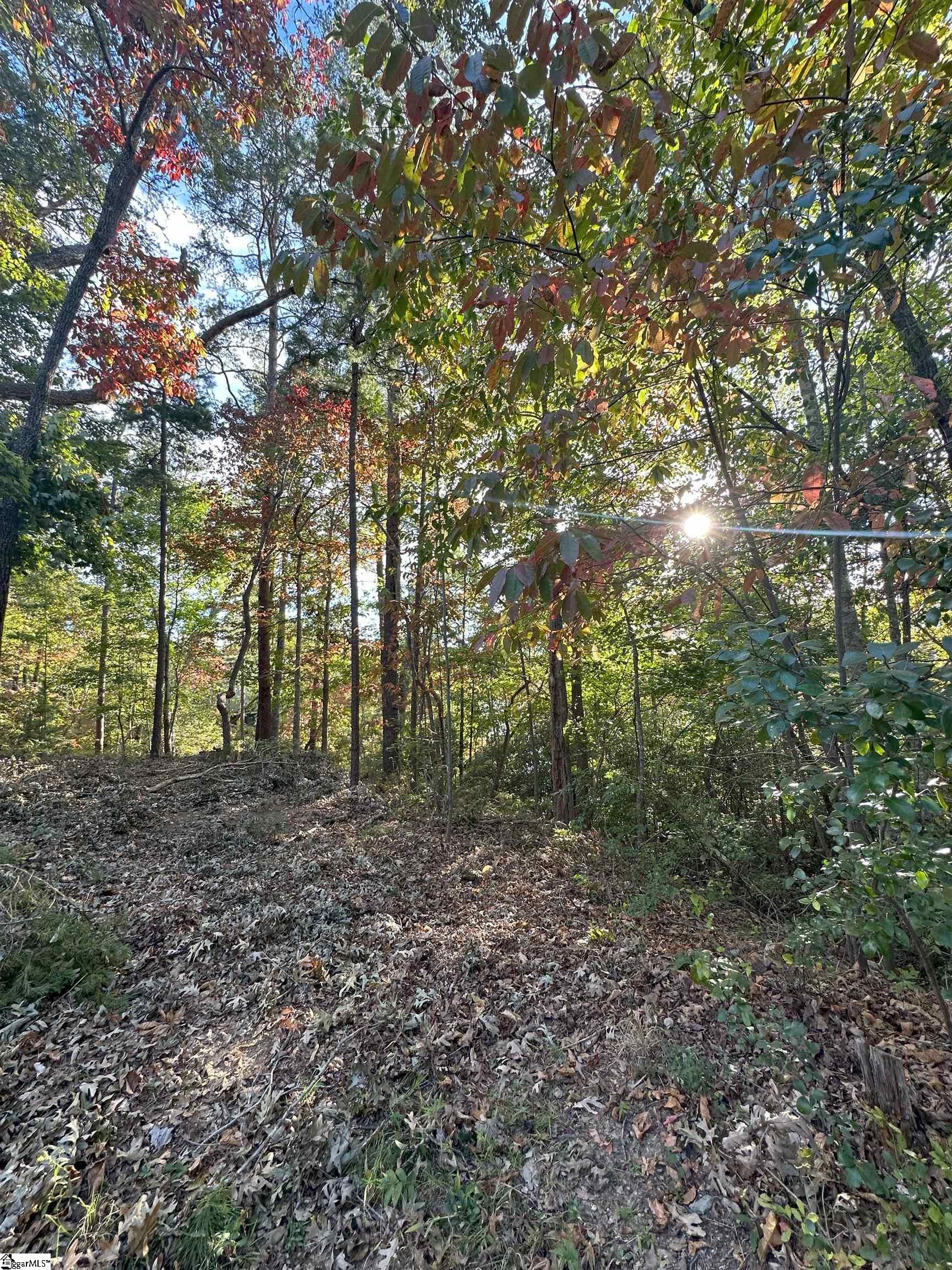 200 Wild Ginger Way Sunset, SC 29685 - Photo 8 of 10 Gallery Image 8