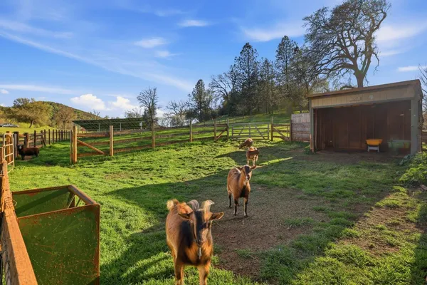 $899,000 | 1600 Hidden Circle, Shingle Springs, CA 95682