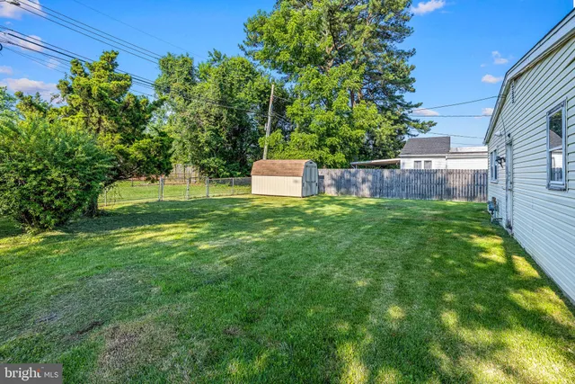 a view of a backyard with plants and large trees