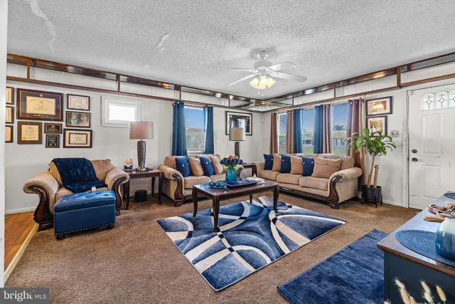 a living room with furniture ceiling fan and a rug