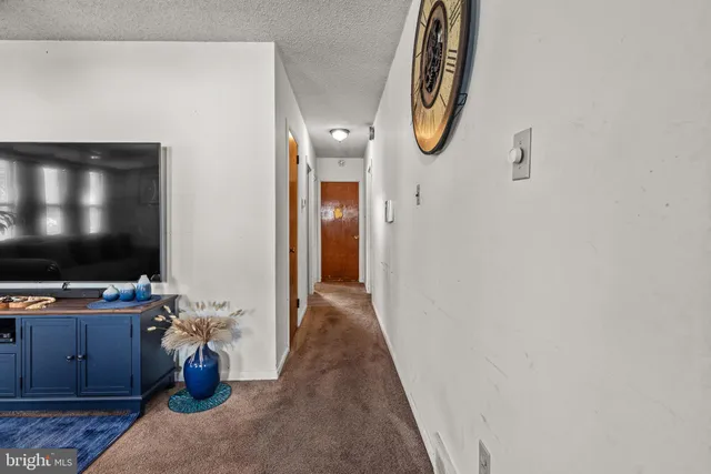 a hallway with painting on the wall and a flat screen tv