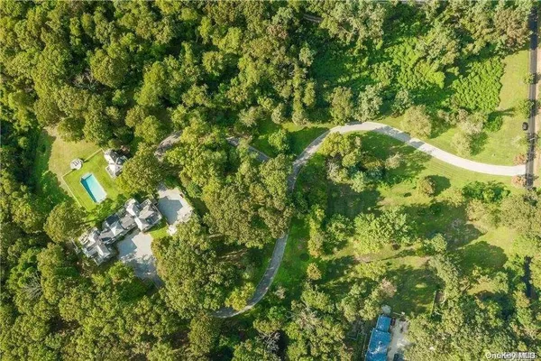 a view of a lush green forest with lots of trees