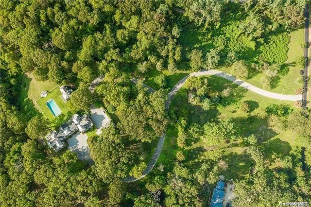 a view of a lush green forest with lots of trees
