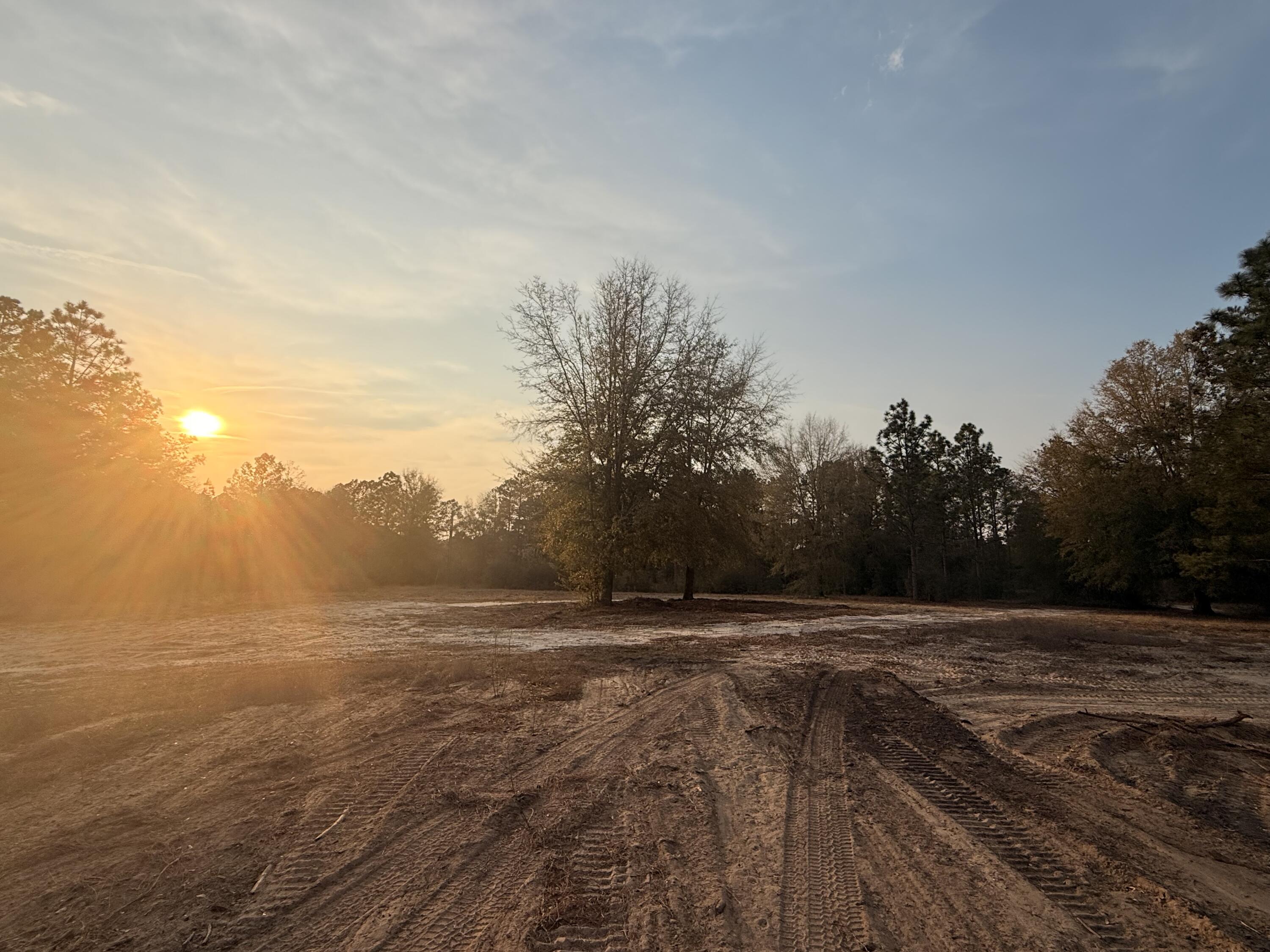 734 State Park Road Windsor, SC 29856 - Photo 4 of 12