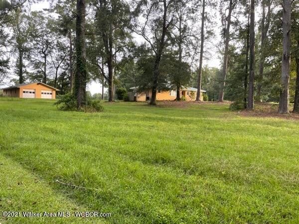 885 River Road Cordova, AL 35550 - Photo 7 of 11 Gallery Image 7