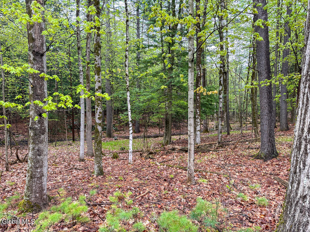 L59 Pilot Knob Road Kattskill Bay, NY 12844 - Photo 6 of 14 IMG_7272