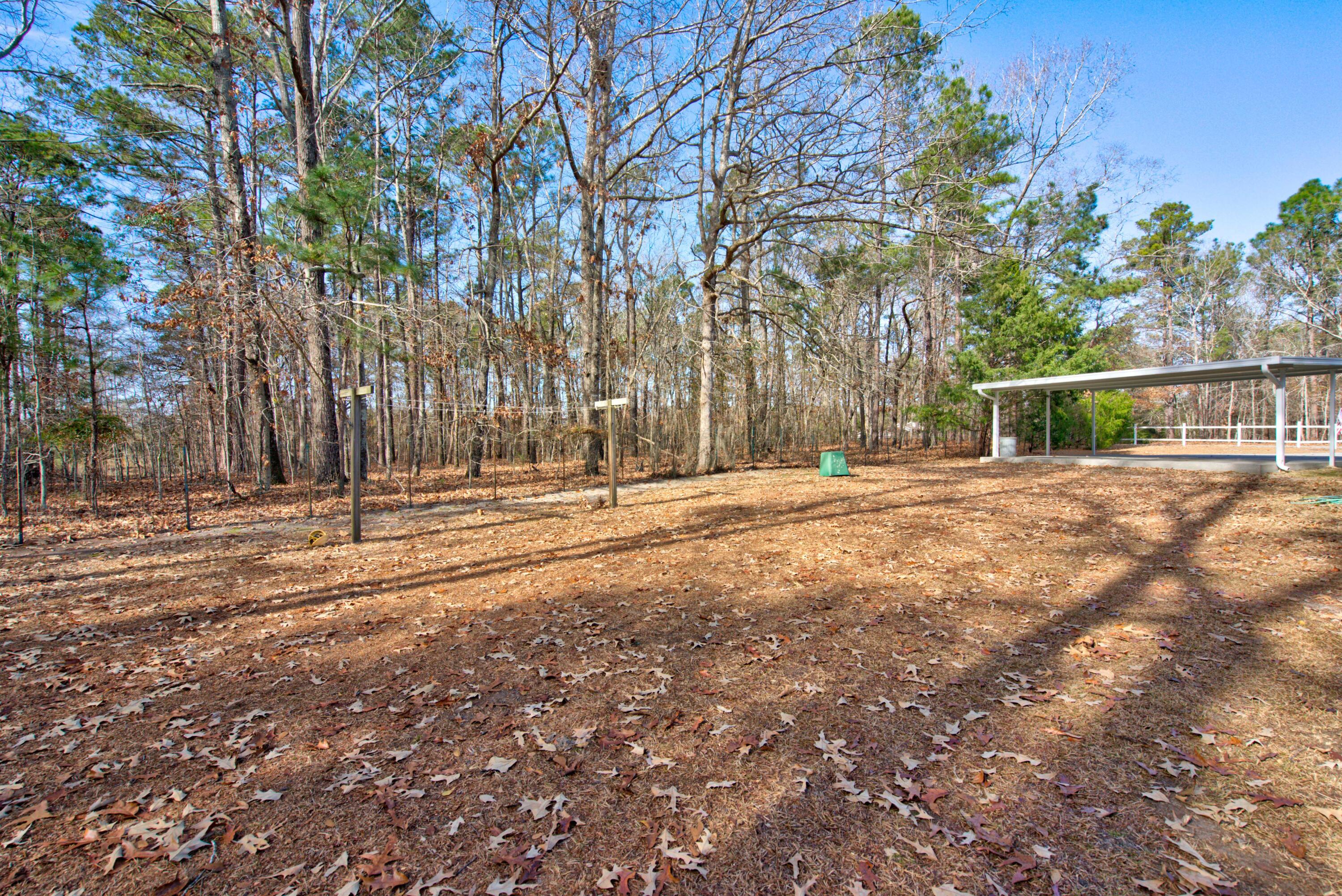 209 Partridge Run Road Santee, SC 29142 - Photo 32 of 33 DSC02945_6_7Balancer Custom Settings