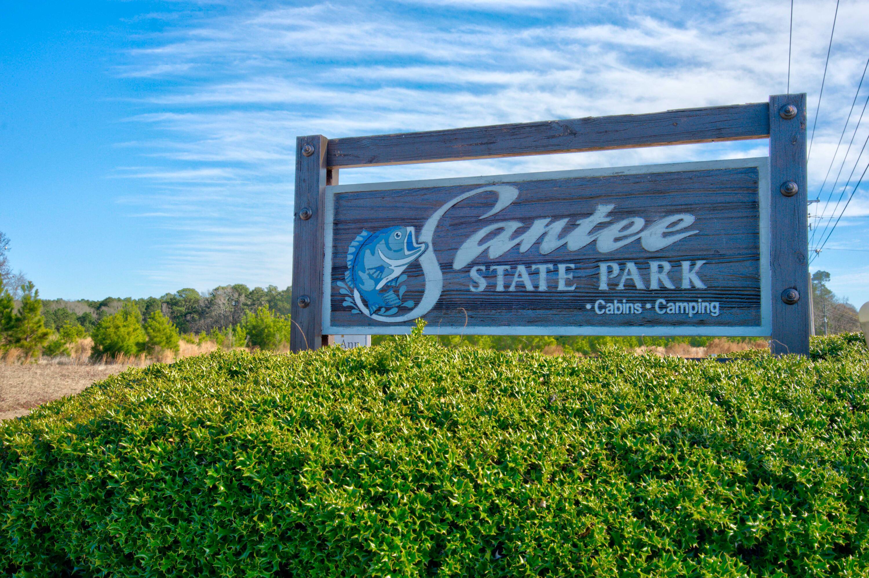 209 Partridge Run Road Santee, SC 29142 - Photo 33 of 33 DSC02954_5_6Balancer Custom Settings