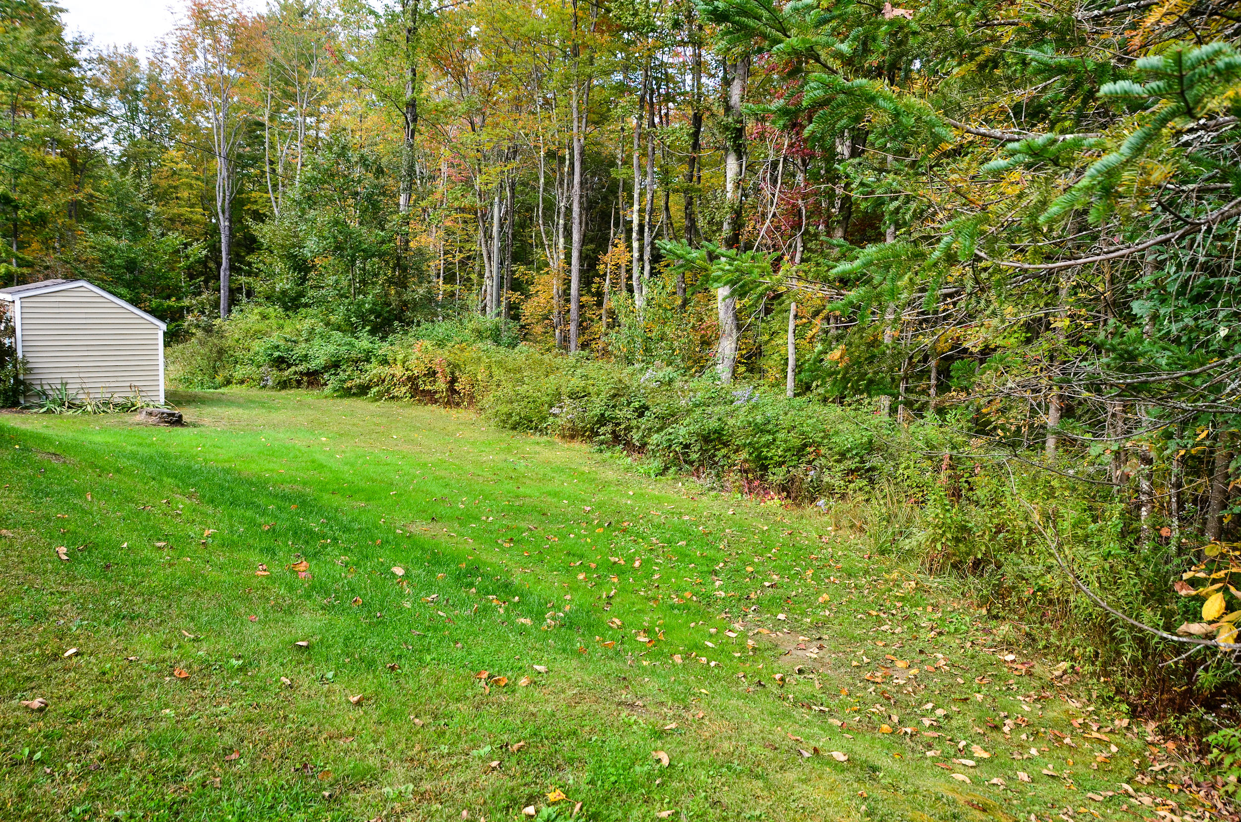 450 Wilson Pond Road North Monmouth, ME 04265 - Photo 87 of 105 0088-KRPhoto2019-DSC_0556