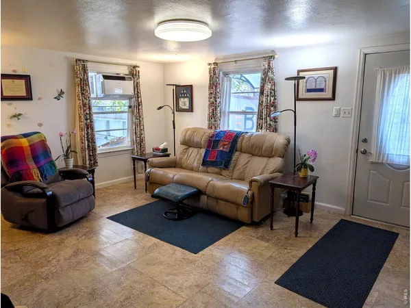 a living room with furniture rug and window