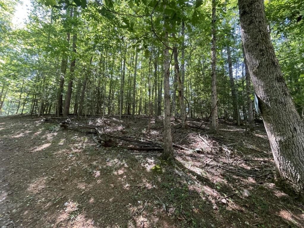 988 Rocktree Road Dahlonega, GA 30533 - Photo 37 of 53