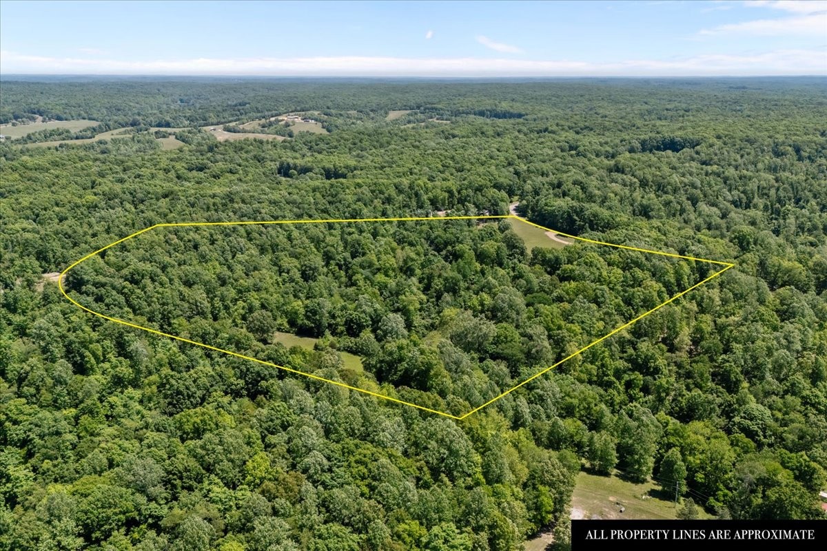254 Shiloh Hollow Road Erin, TN 37061 - Photo 47 of 63