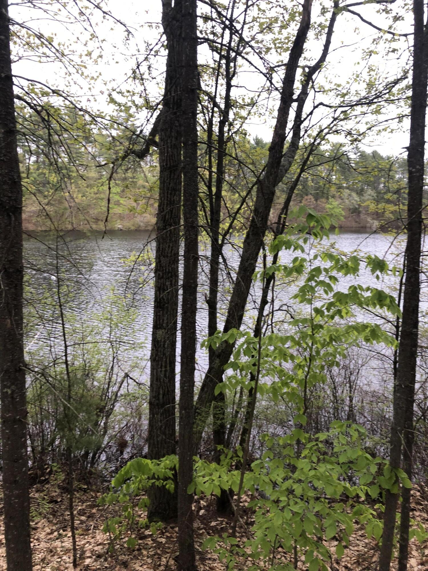 Lot 13 Old County Road Oxford, ME 04270 - Photo 5 of 15 IMG_3298