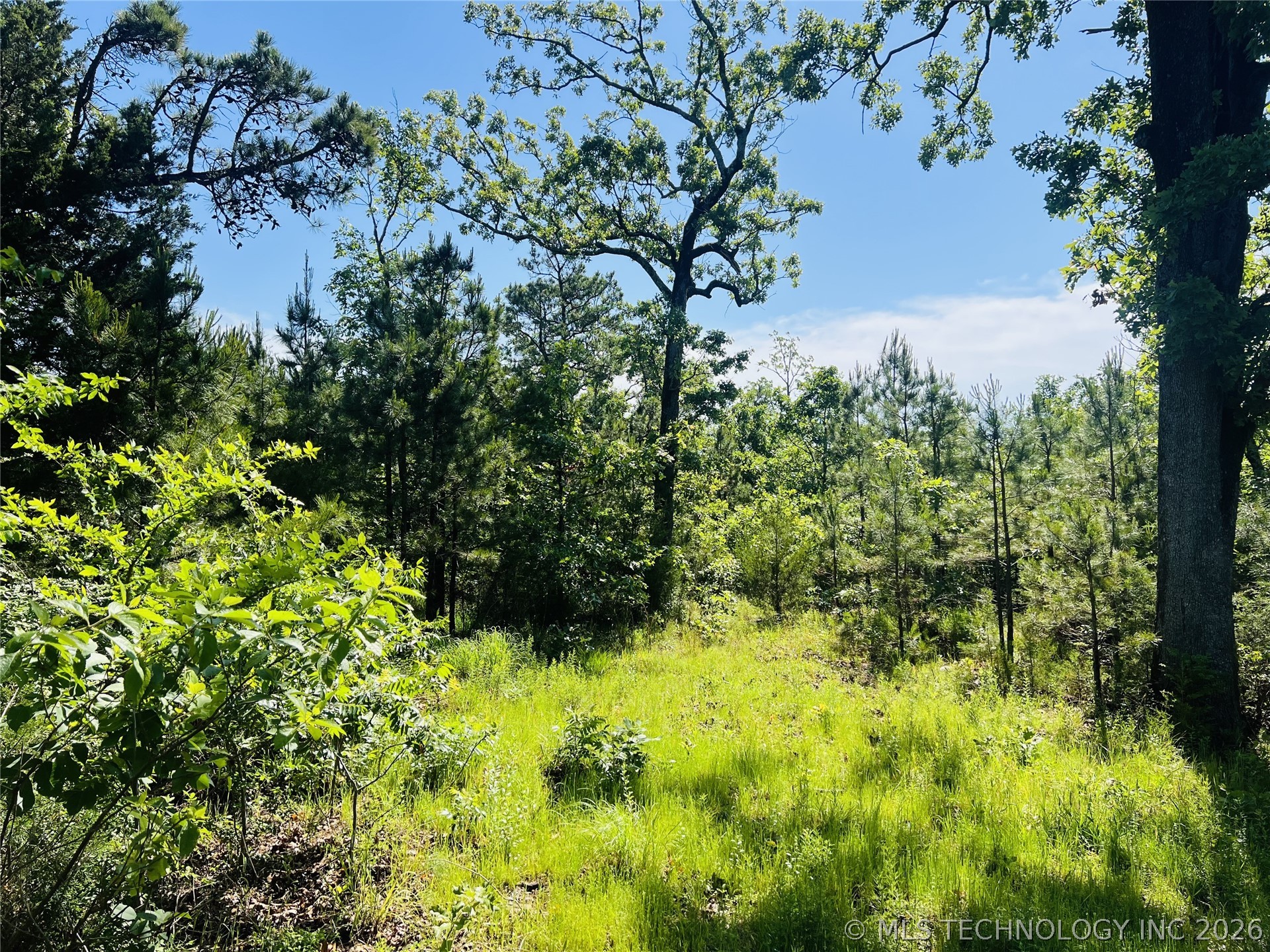 Property perimeter featuring abundant mature trees and natural landscaping