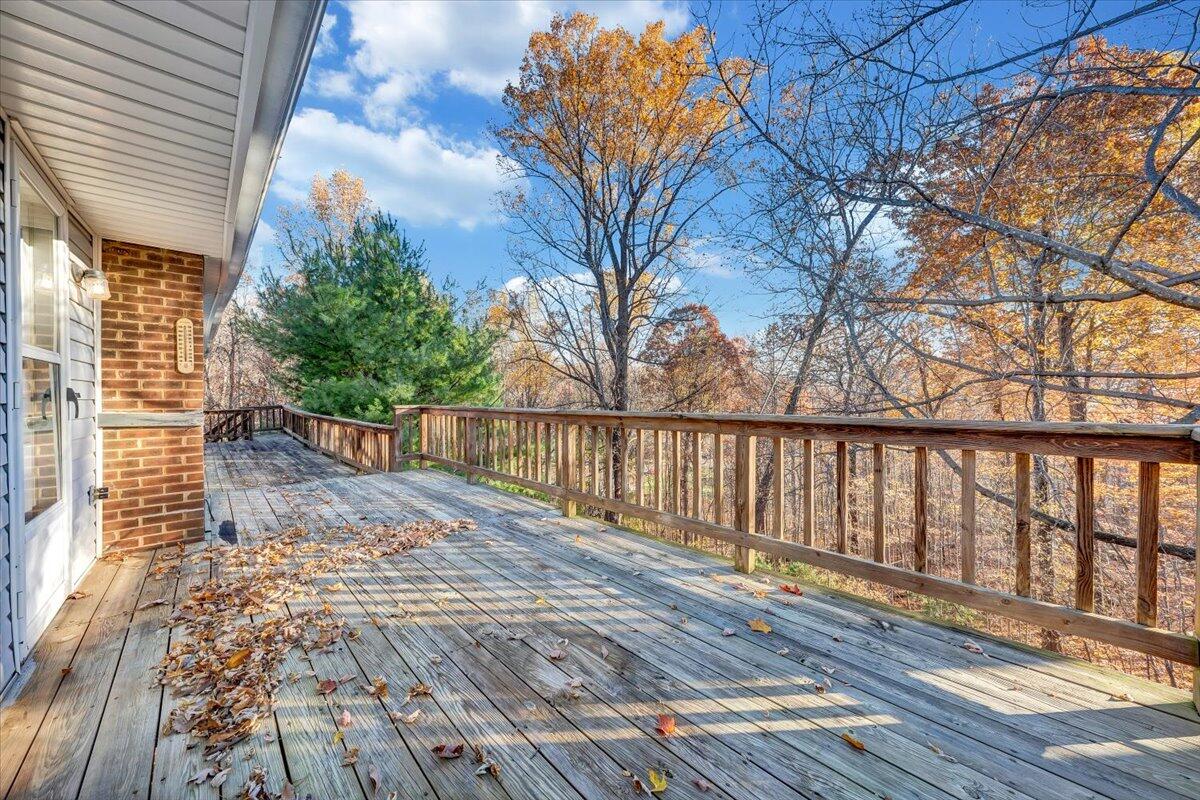 88 Persimmon Court Blue Ridge, VA 24064 - Photo 33 of 37