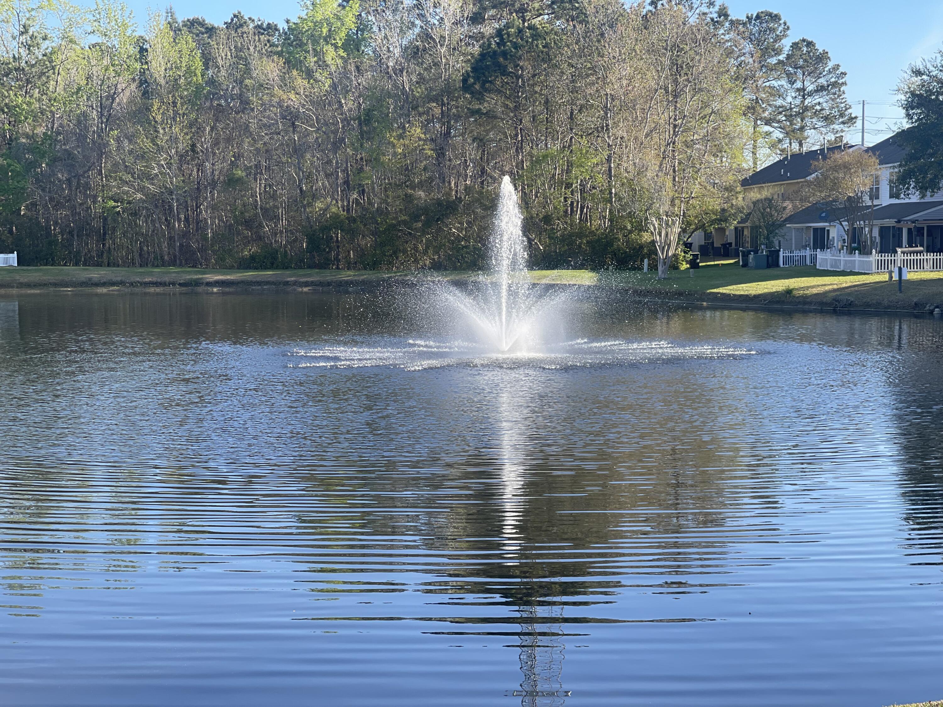 303 Pine Bluff Drive Summerville, SC 29483 - Photo 34 of 34 IMG_6427