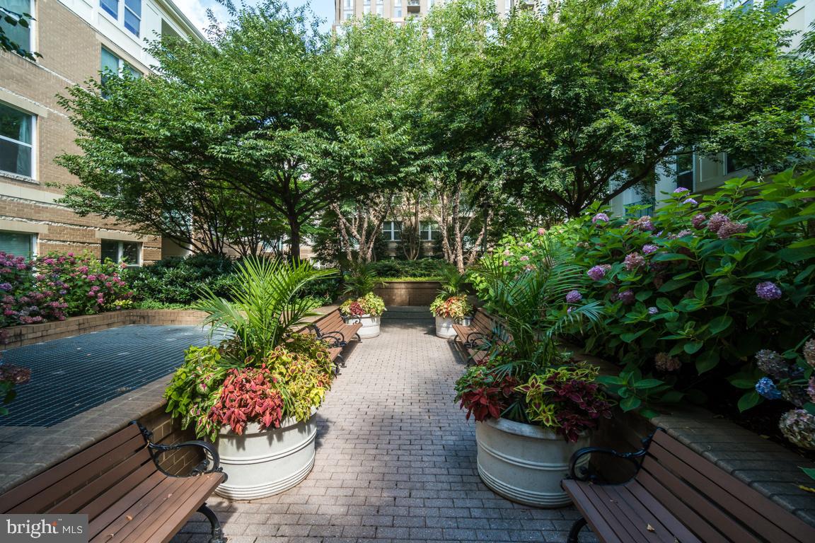 12000 Market Street, Unit 419 Reston, VA 20190 - Photo 27 of 31 Well maintained grounds