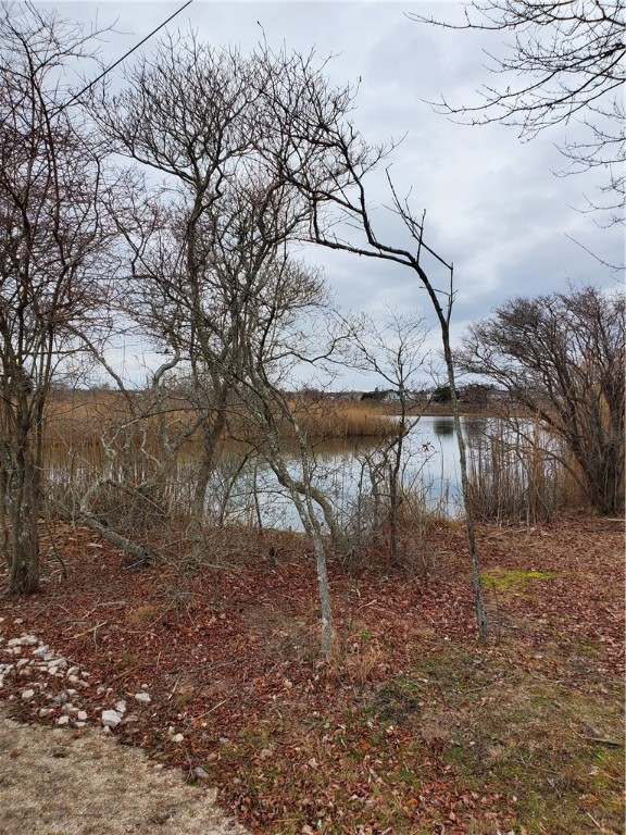 0 Potter Road Charlestown, RI 02813 - Photo 4 of 16 Gallery Image 4