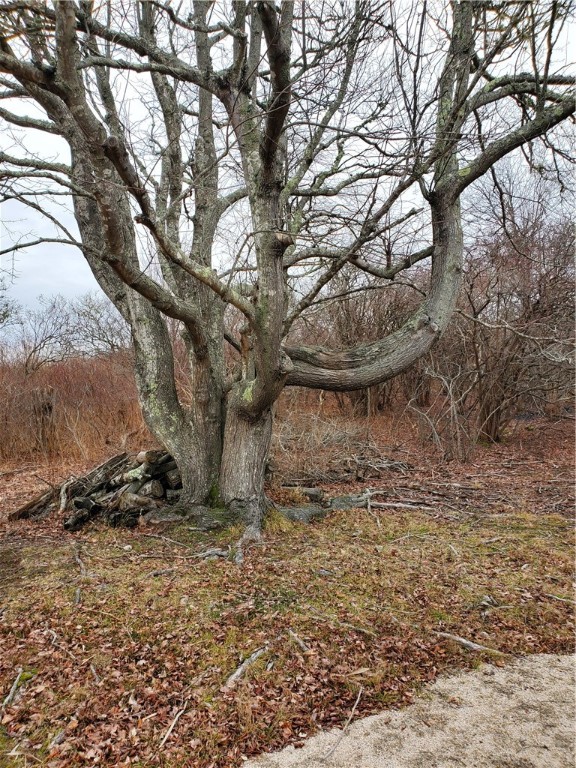0 Potter Road Charlestown, RI 02813 - Photo 6 of 16 Gallery Image 6