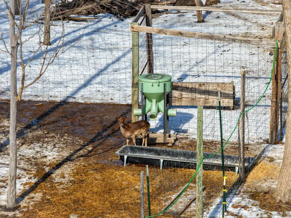 $549,900 | 38322 141st Avenue, Bagley, MN 56621