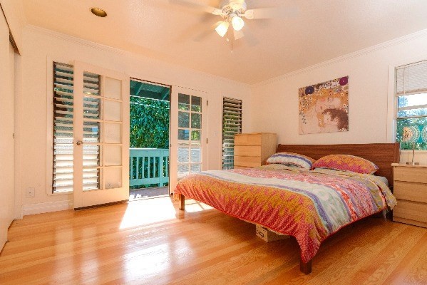 2445 Kolo Road Kilauea, HI 96754 - Photo 5 of 12 Gallery Image 5