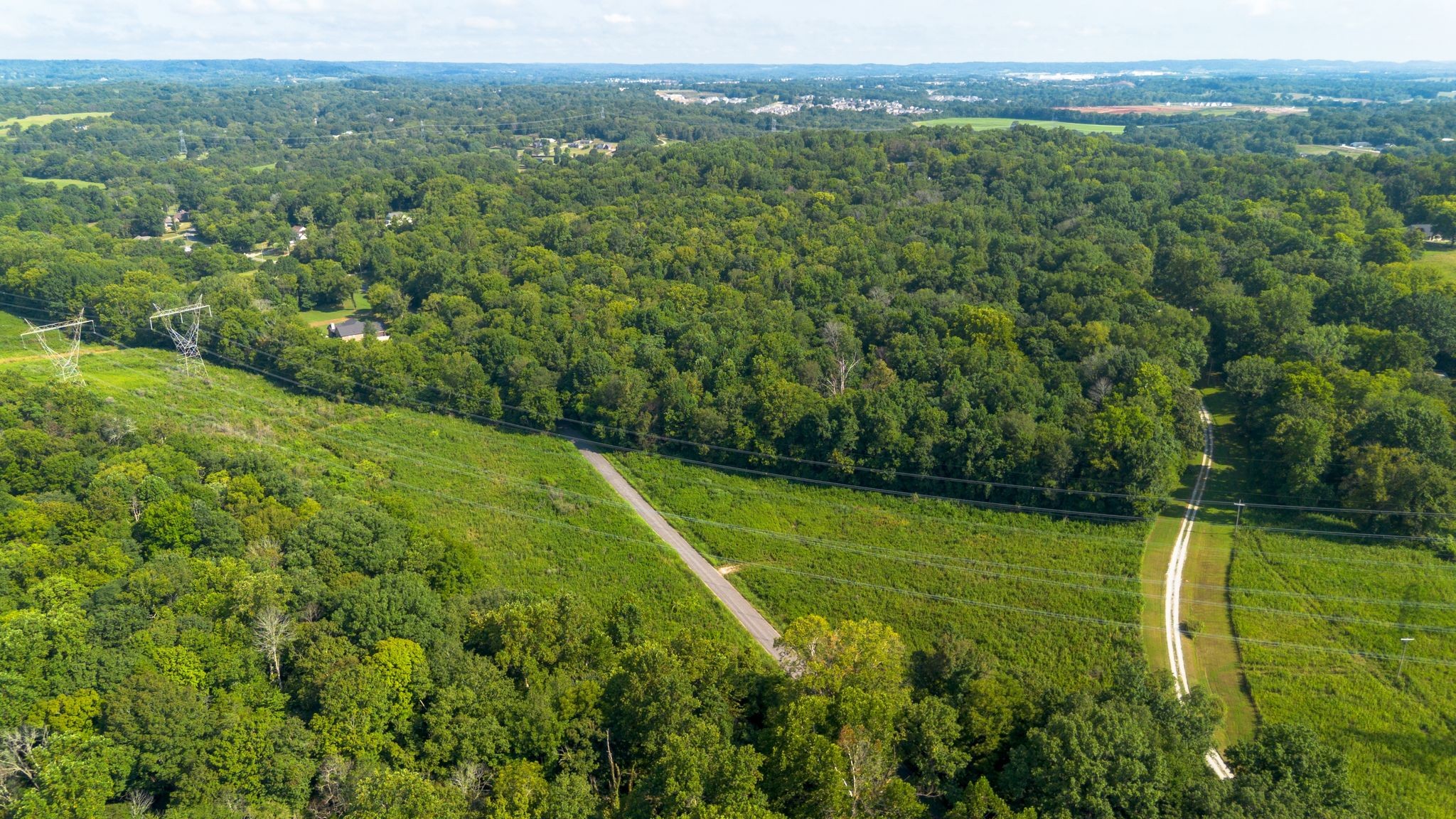 0 Center Star Road Columbia, TN 38401 - Photo 14 of 18 a view of a green field with lots of bushes
