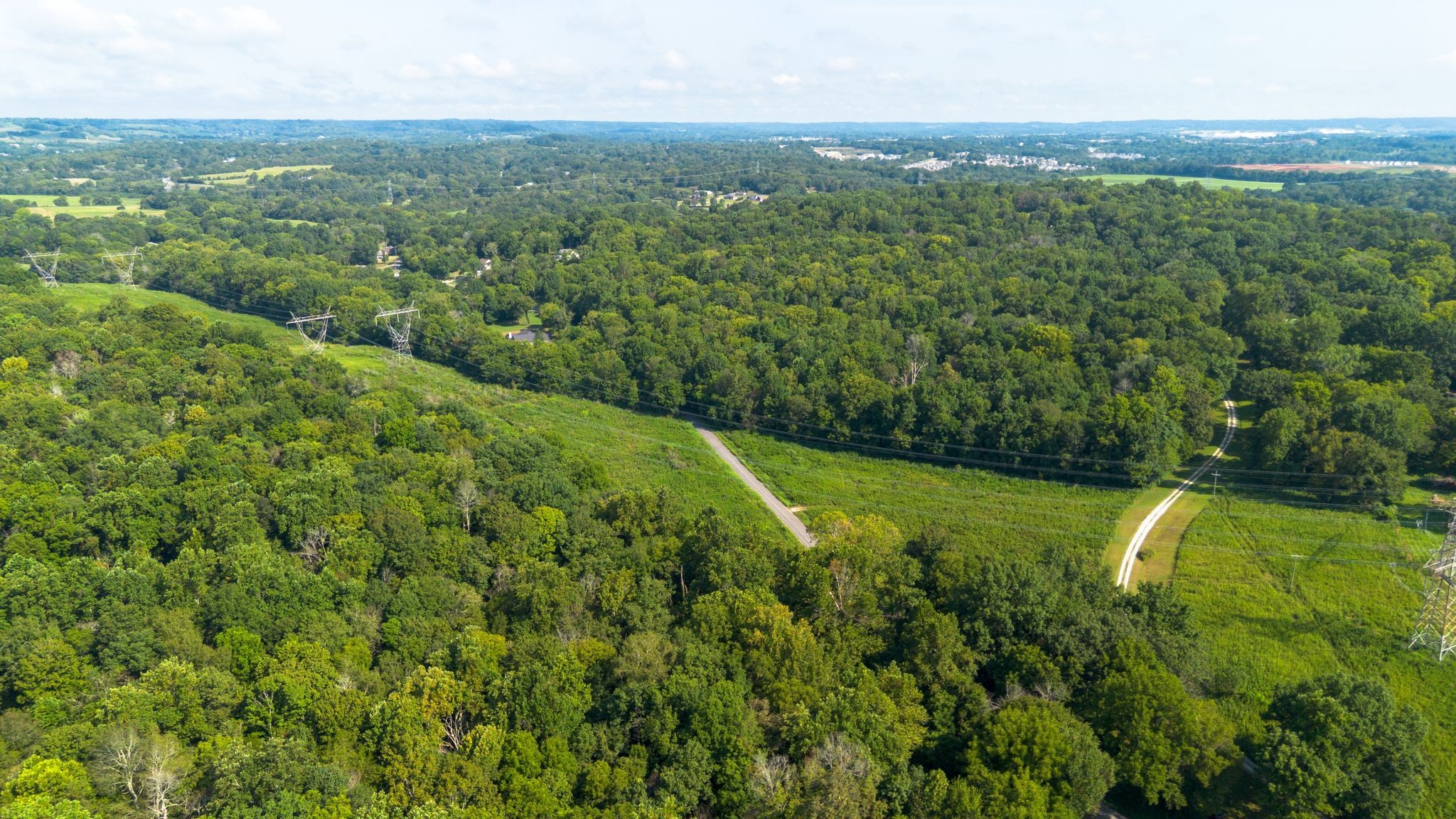 0 Center Star Road Columbia, TN 38401 - Photo 15 of 18 a view of a green yard with an trees