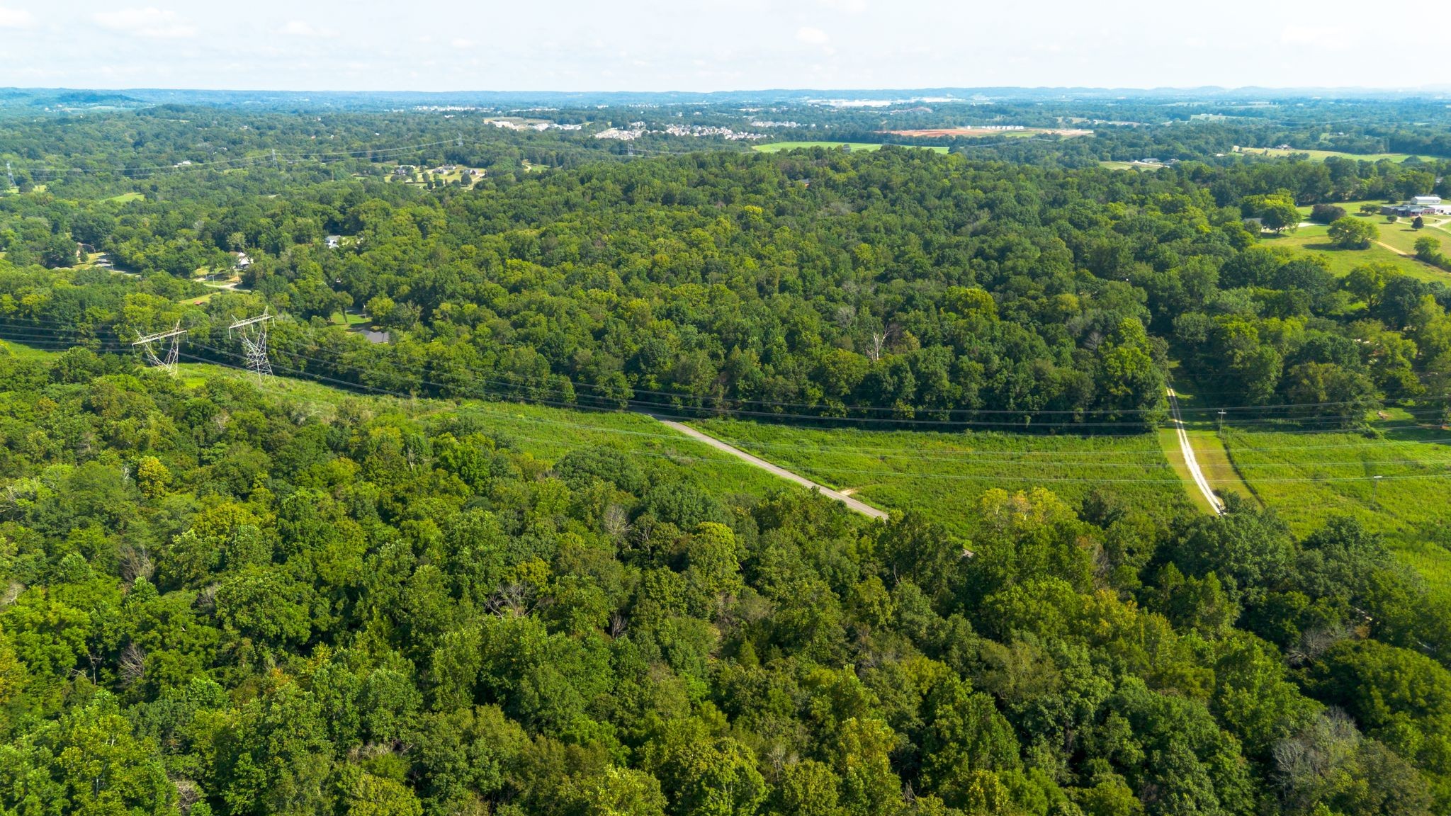 0 Center Star Road Columbia, TN 38401 - Photo 16 of 18 a view of a green field with lots of bushes