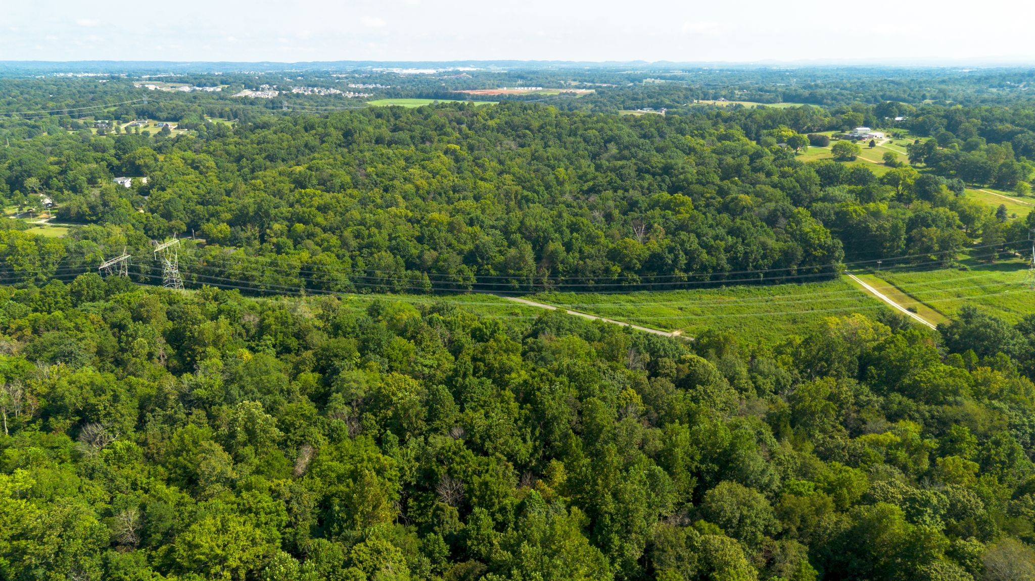 0 Center Star Road Columbia, TN 38401 - Photo 17 of 18 a view of a lush green forest with trees and some houses