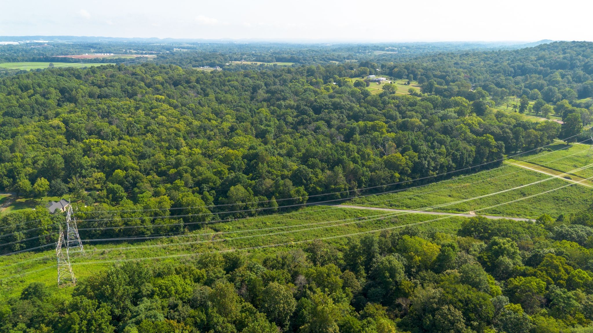 0 Center Star Road Columbia, TN 38401 - Photo 18 of 18 a view of a field with a tree