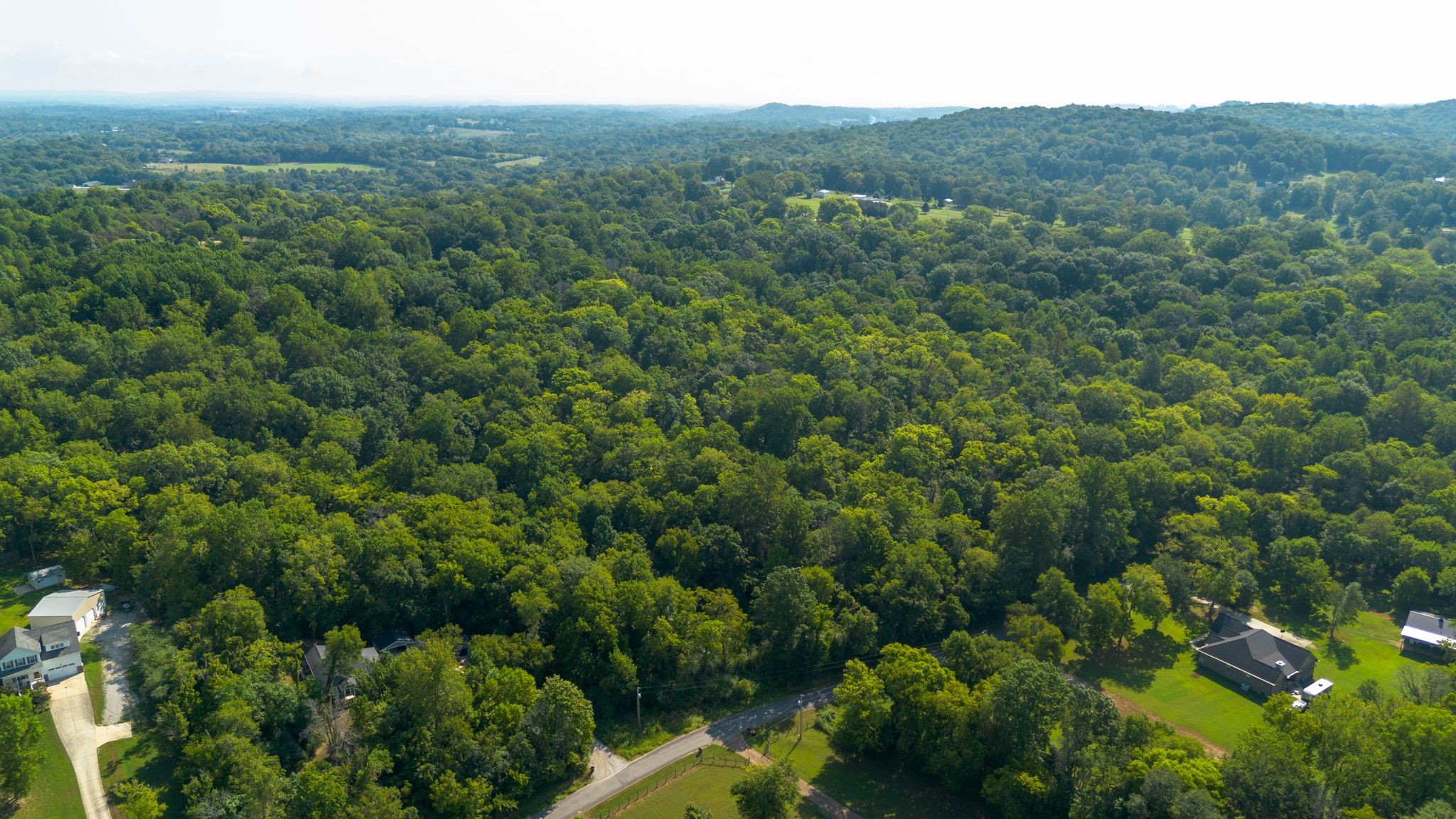 0 Center Star Road Columbia, TN 38401 - Photo 3 of 18 a view of a forest with a street