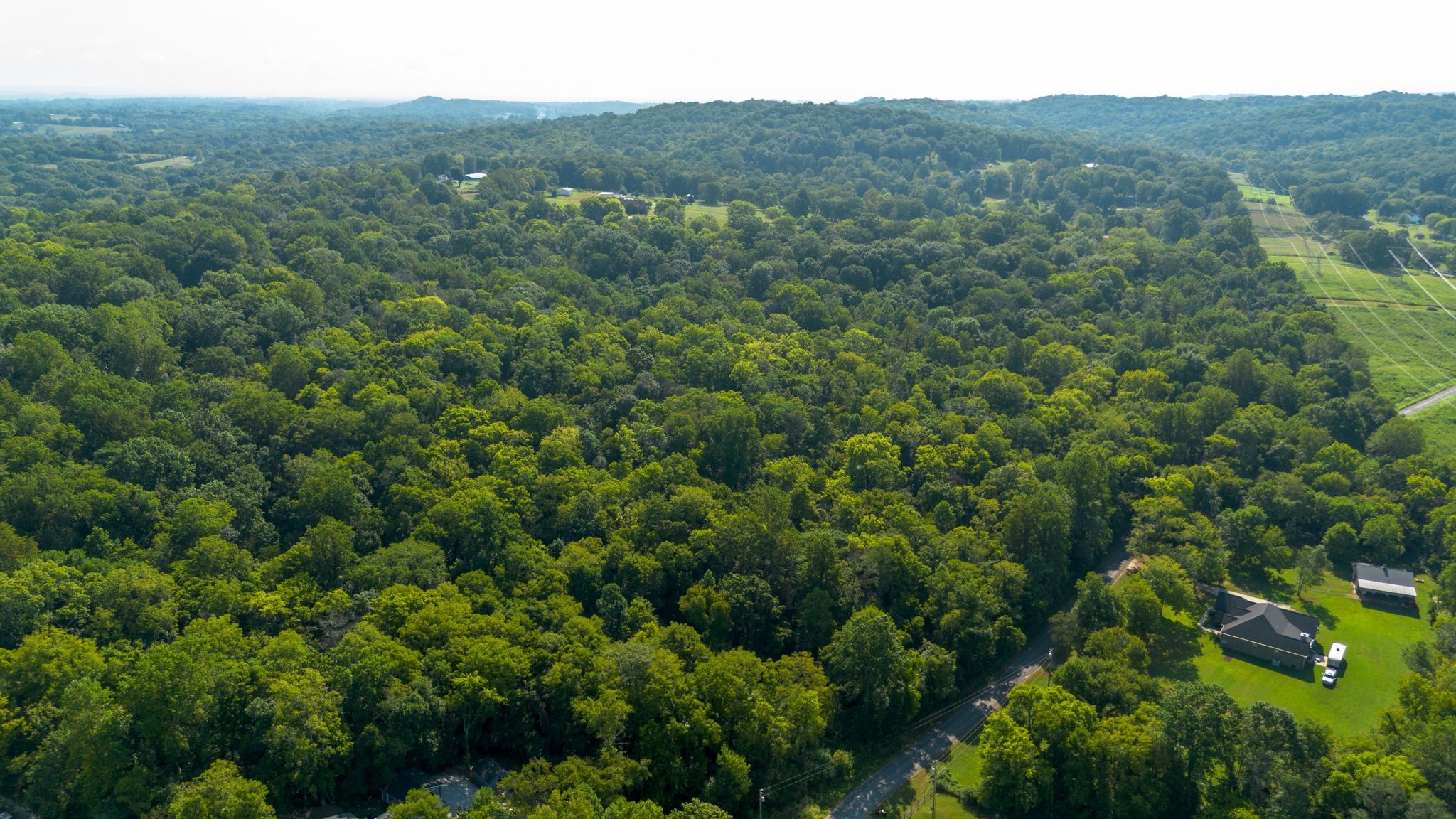 0 Center Star Road Columbia, TN 38401 - Photo 4 of 18 a view of a forest with a street