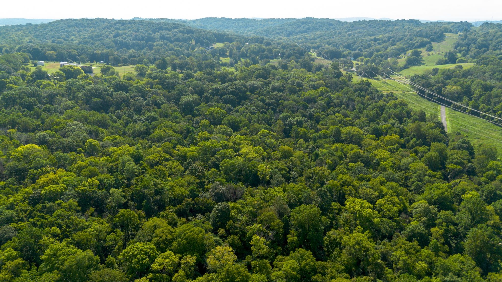 0 Center Star Road Columbia, TN 38401 - Photo 5 of 18 a view of a lush green forest with lush green forest