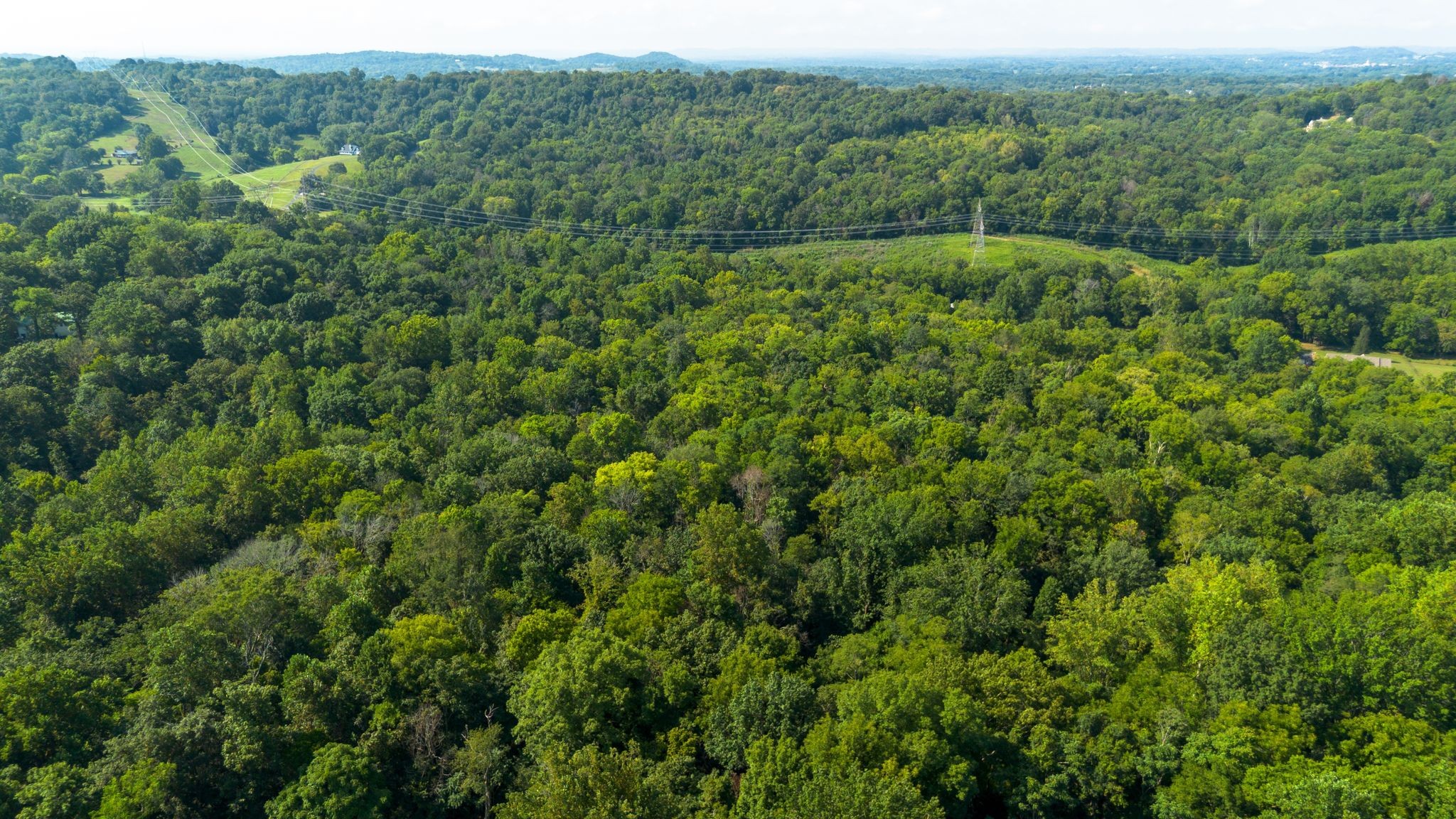 0 Center Star Road Columbia, TN 38401 - Photo 6 of 18 a view of a forest with a street