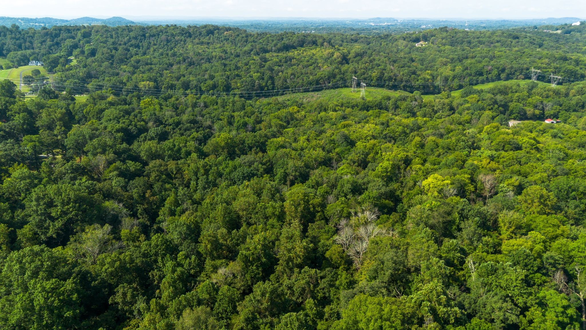 0 Center Star Road Columbia, TN 38401 - Photo 7 of 18 a view of a forest with a street