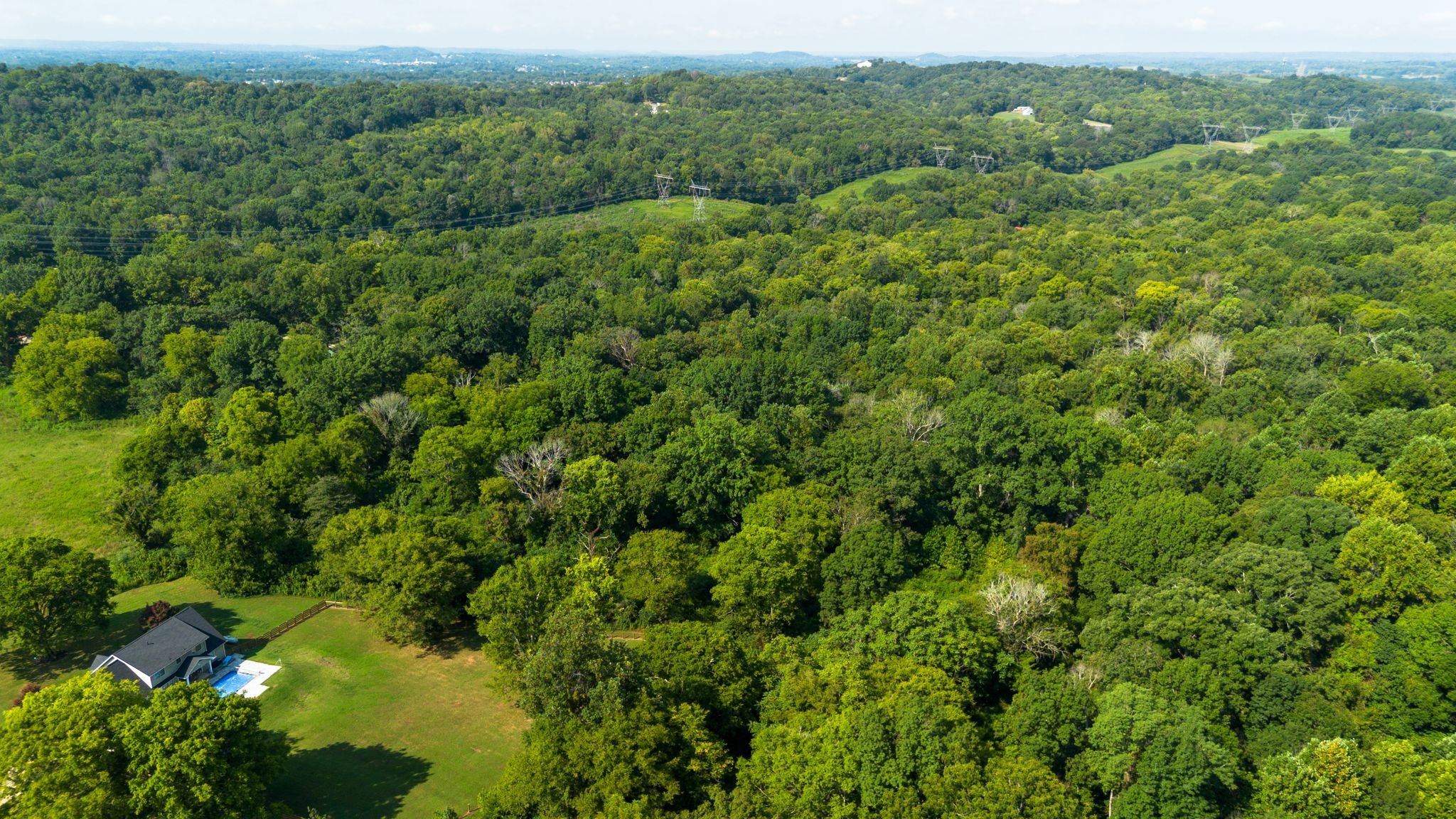 0 Center Star Road Columbia, TN 38401 - Photo 8 of 18 a view of a forest with a street