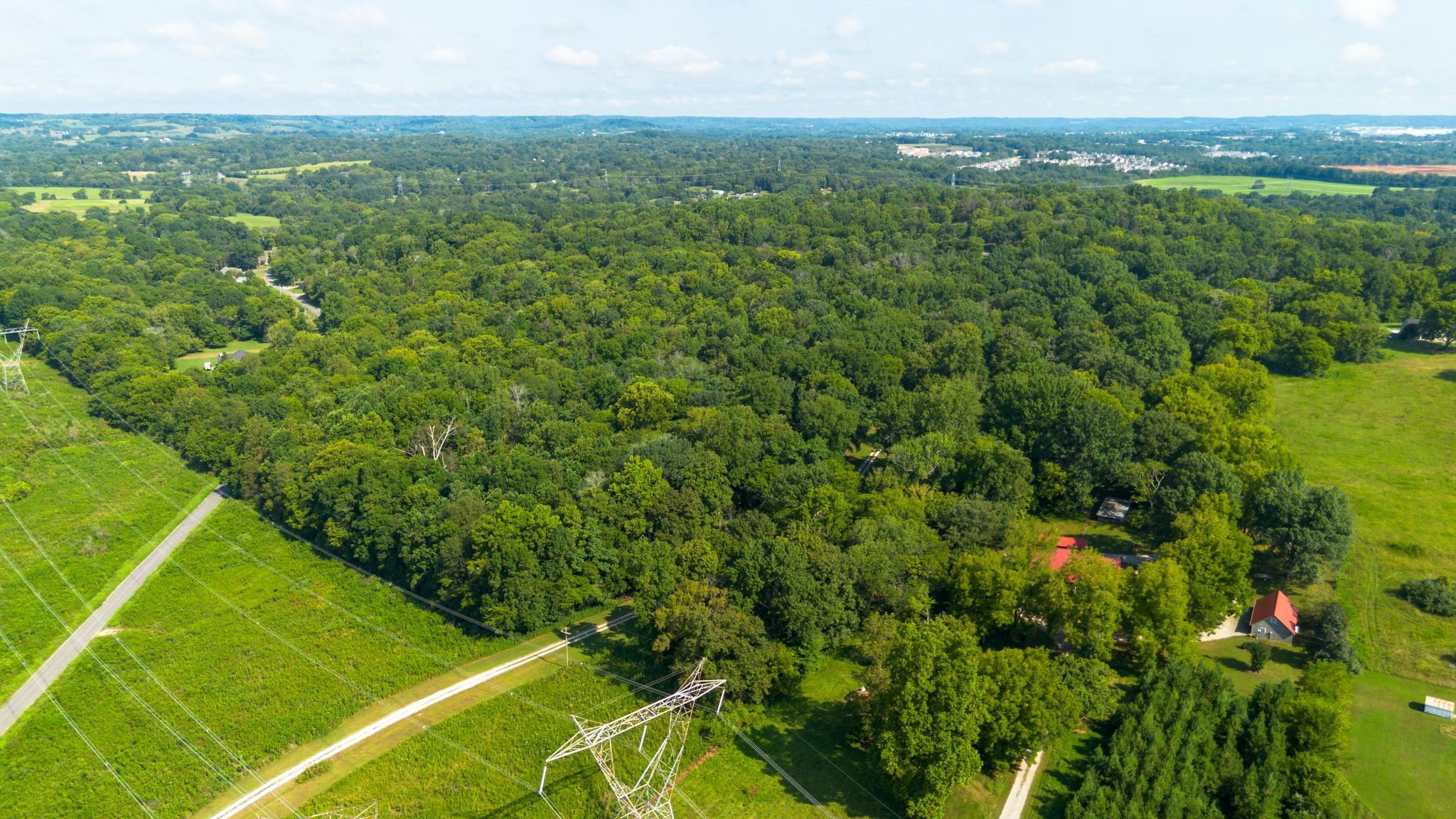 0 Center Star Road Columbia, TN 38401 - Photo 10 of 18 a view of a green field with lots of bushes