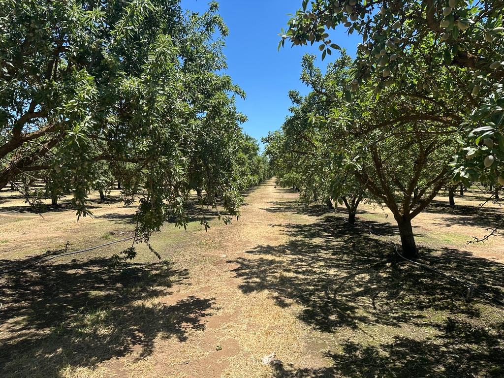 12400 East Keyes Road Denair, CA 95316 - Photo 17 of 29