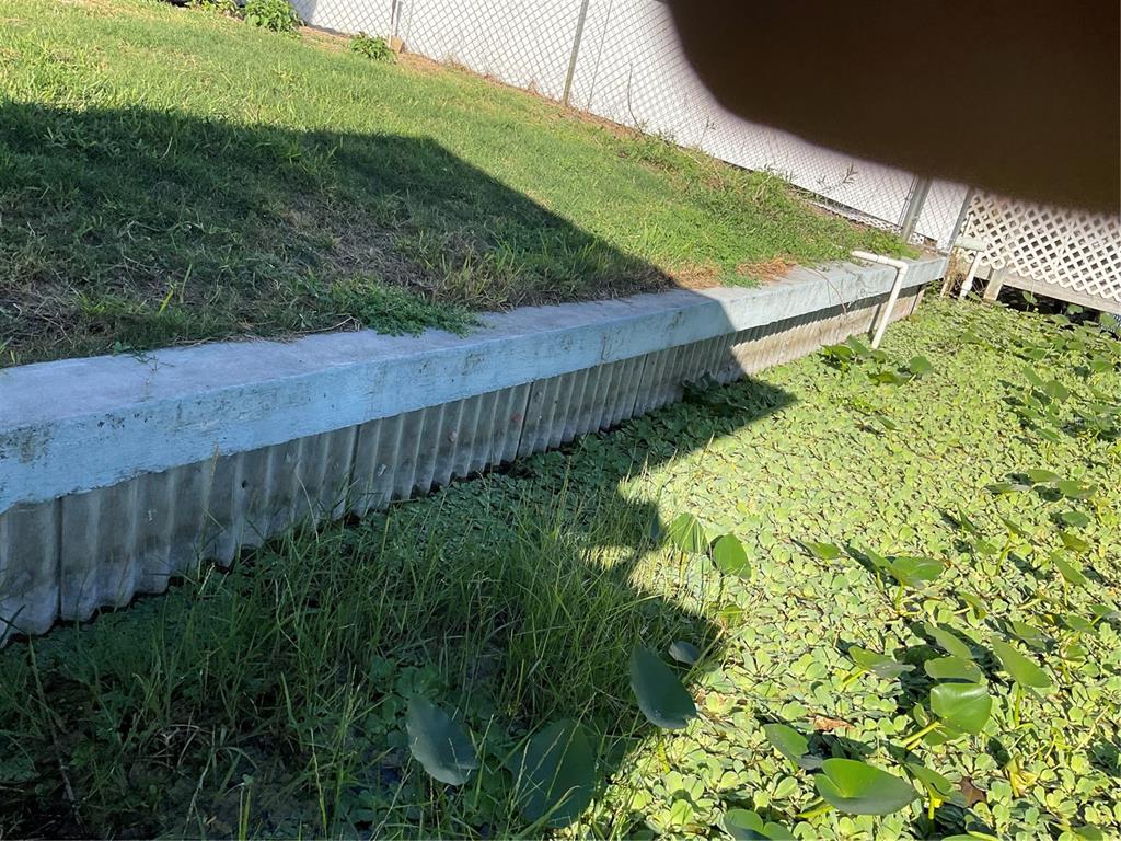 1602 Chobee Street Okeechobee, FL 34974 - Photo 6 of 20 a view of a backyard