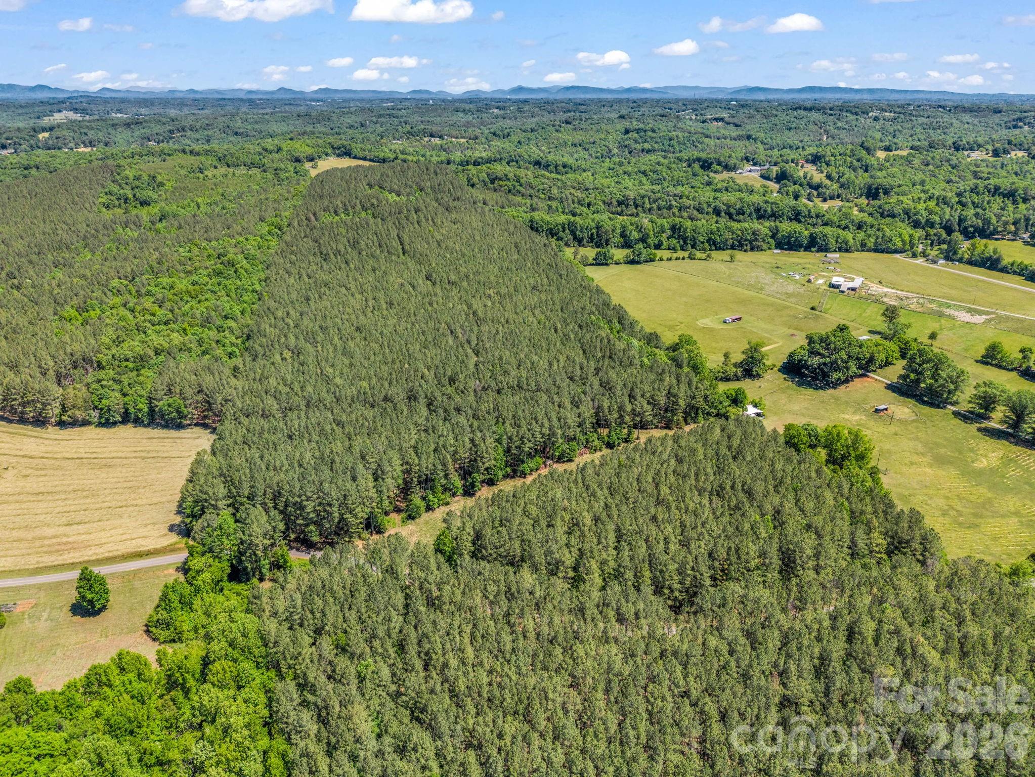 0 Jim Dobbins Road Rutherfordton, NC 28139 - Photo 7 of 39 a view of a lush green forest with a lake
